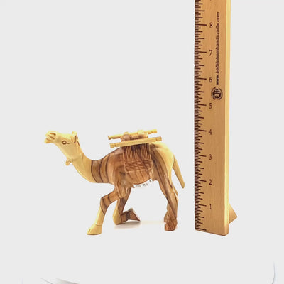 Camel with Harness Olive Wood from Bethlehem, 4.7"