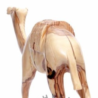 Hand Carved Camel with Saddle - Statuettes - Bethlehem Handicrafts