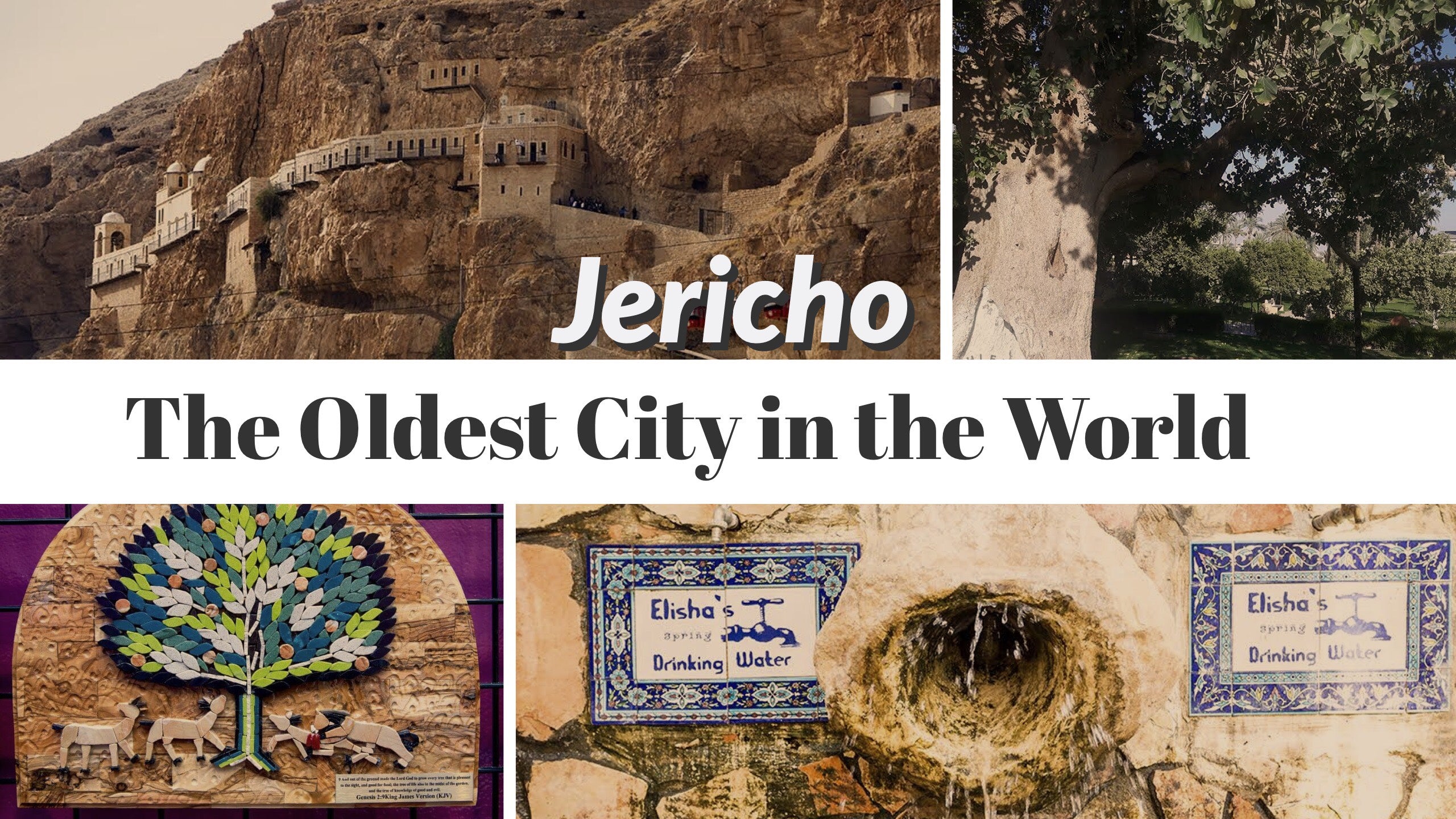 Jericho: The Oldest City in the World