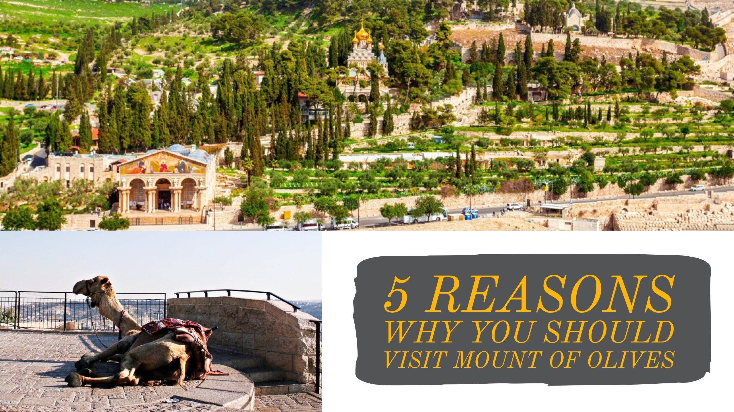 5 Reasons Why You Should Visit Mount of Olives