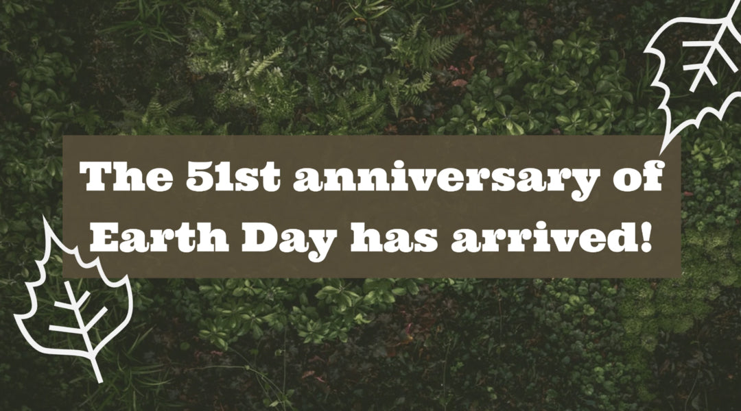 Earth Day and Olive Wood: A Sustainable Christian Tradition