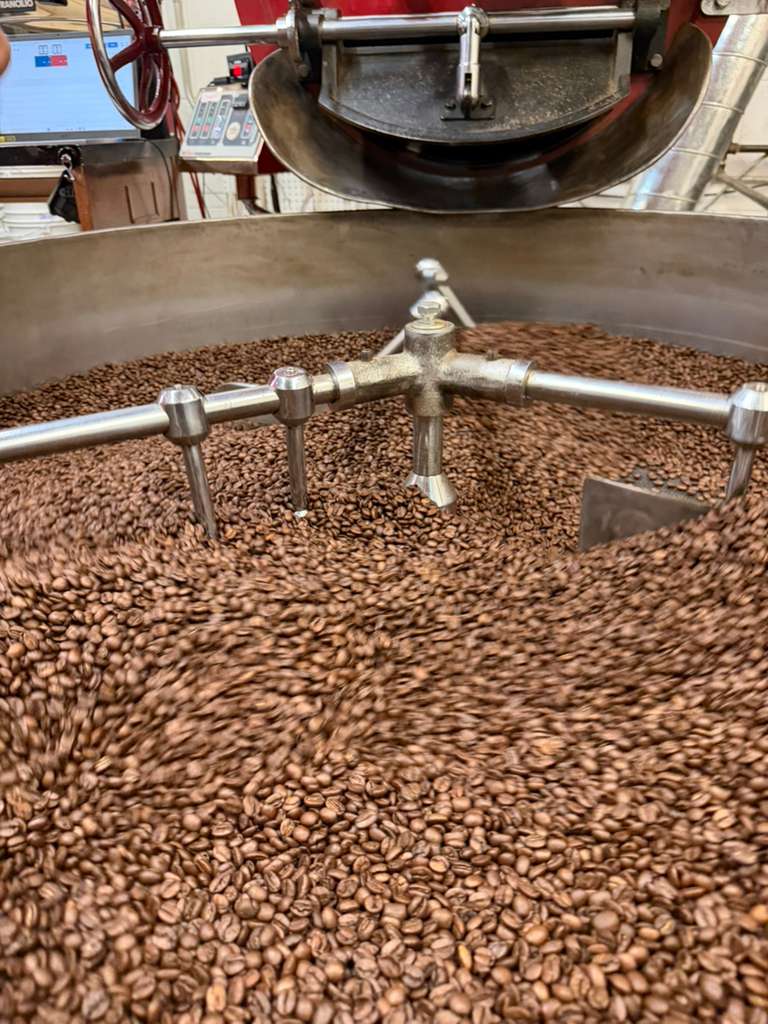 Bethlehem Blend Coffee, Medium Roast Whole Bean, 10 oz, Holy Land Inspired, fresh roasted beans on the cooling tray