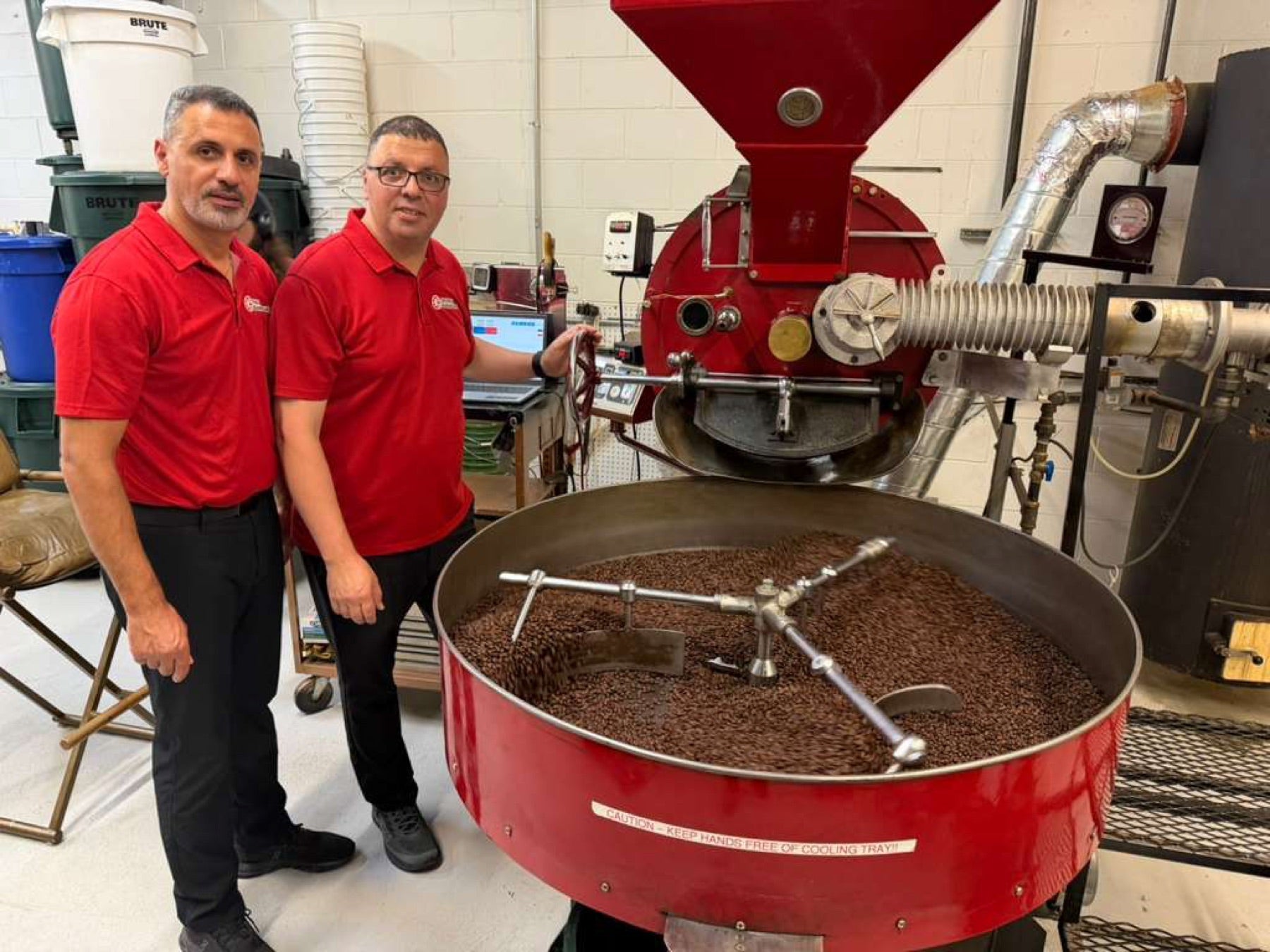 Freshly roasted Holy Land coffee beans cooling after the roast