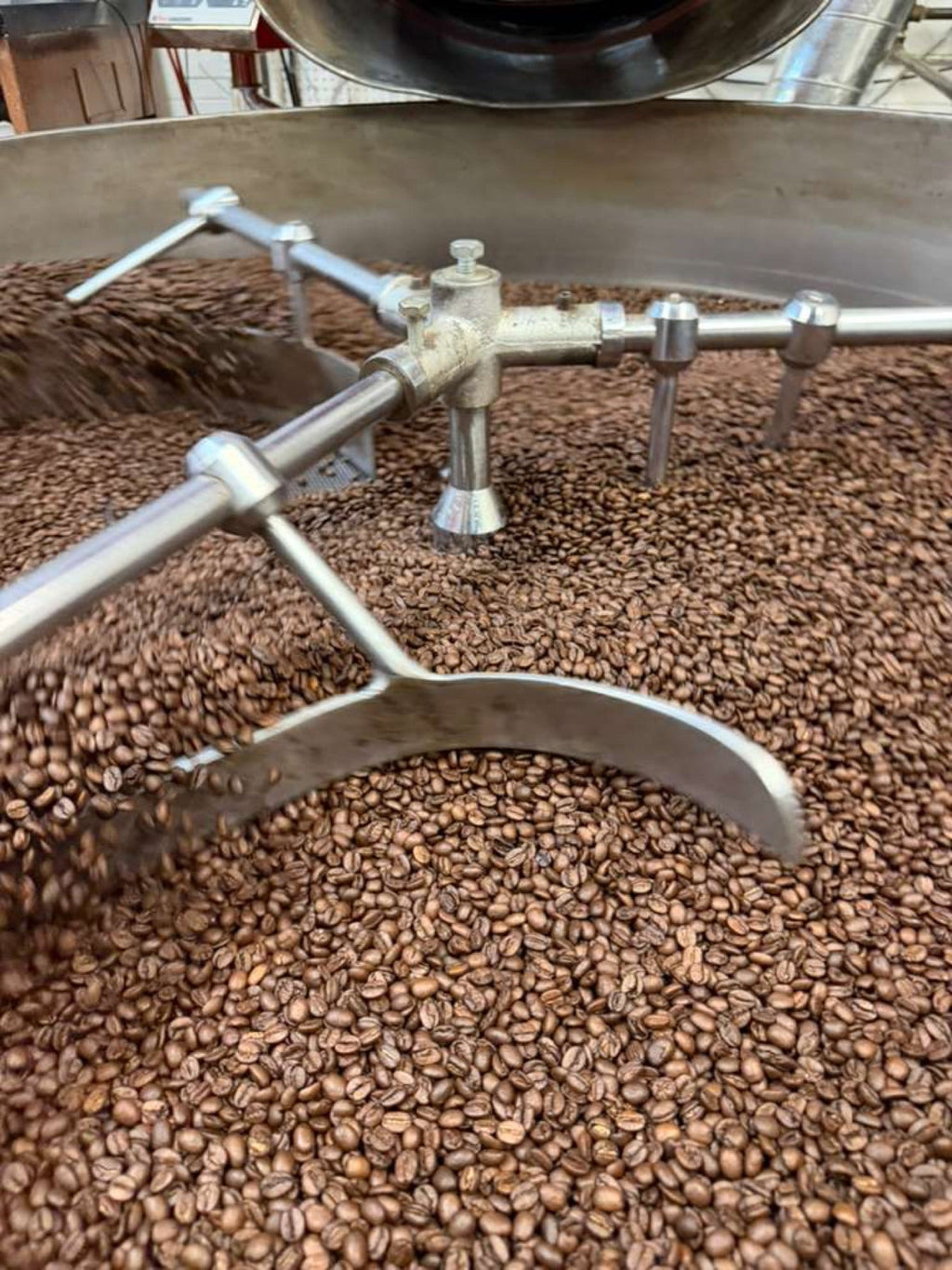 Close up of freshly roasted medium roast coffee beans