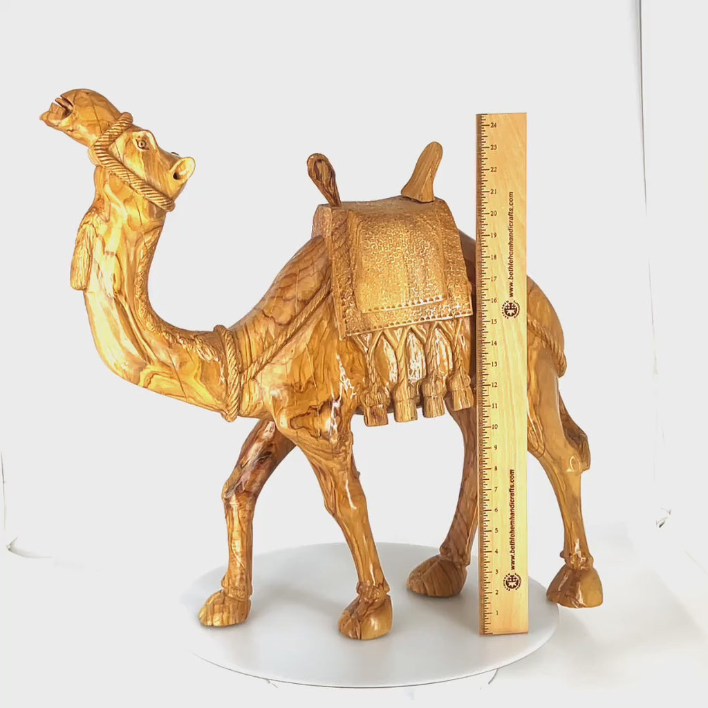 Camel Masterpiece Carving, 26" Tall, Large Olive Wood from Holy Land