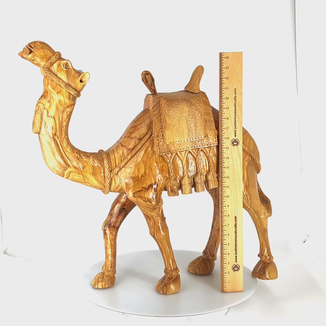 Camel Masterpiece Carving, 26" Tall, Large Olive Wood from Holy Land