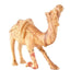 Hand Carved Wooden Camel , 6.5"