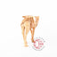 Wooden Carved Camel with Harness - Statuettes - Bethlehem Handicrafts