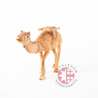 religious olive wood statue hand carved in Bethlehem, 5.9 inch complete view of the Bethlehem hand carved piece