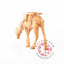 Hand Carved Wood Grazing Camel - Statuettes - Bethlehem Handicrafts