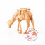 Hand Carved Wood Grazing Camel - Statuettes - Bethlehem Handicrafts