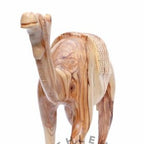Olive wood nativity scene hand carved in Bethlehem, 13.4 inch side angle of the olive wood sculpture