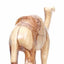 Hand Carved Camel with Saddle - Statuettes - Bethlehem Handicrafts