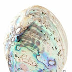 Colorful Abalone Shell Nativity Scene (Medium) - Statuettes - Bethlehem Handicrafts