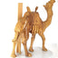 Camel Masterpiece Carving, 26" Tall, Large Olive Wood from Holy Land